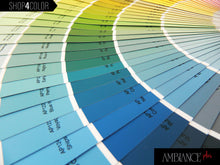 Load image into Gallery viewer, Ambiance Plus